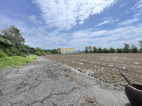 福興稀有大坪數甲建｜文昌國小