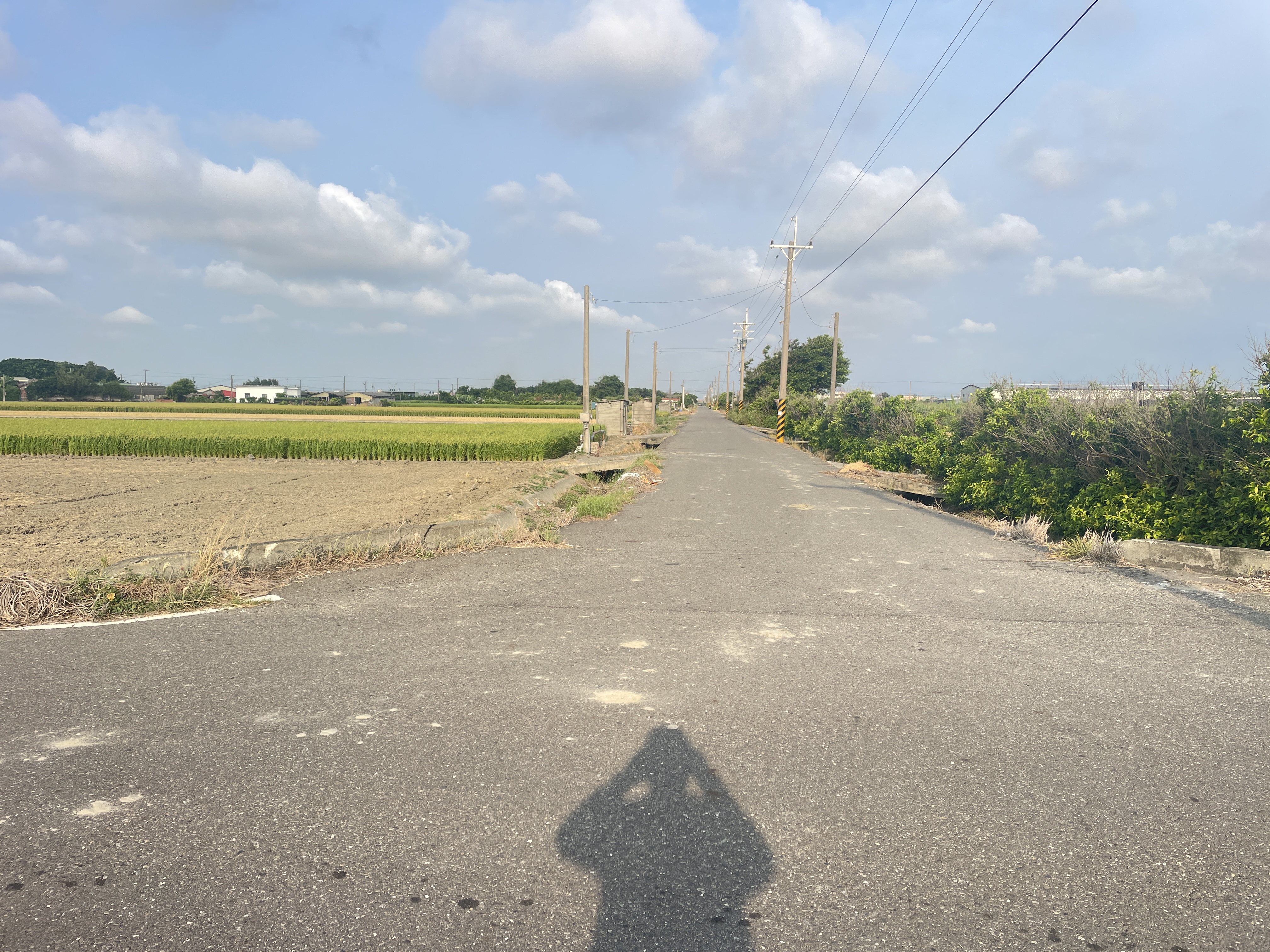芳苑445坪方正美田｜5米路｜15米大面寬｜總價258萬