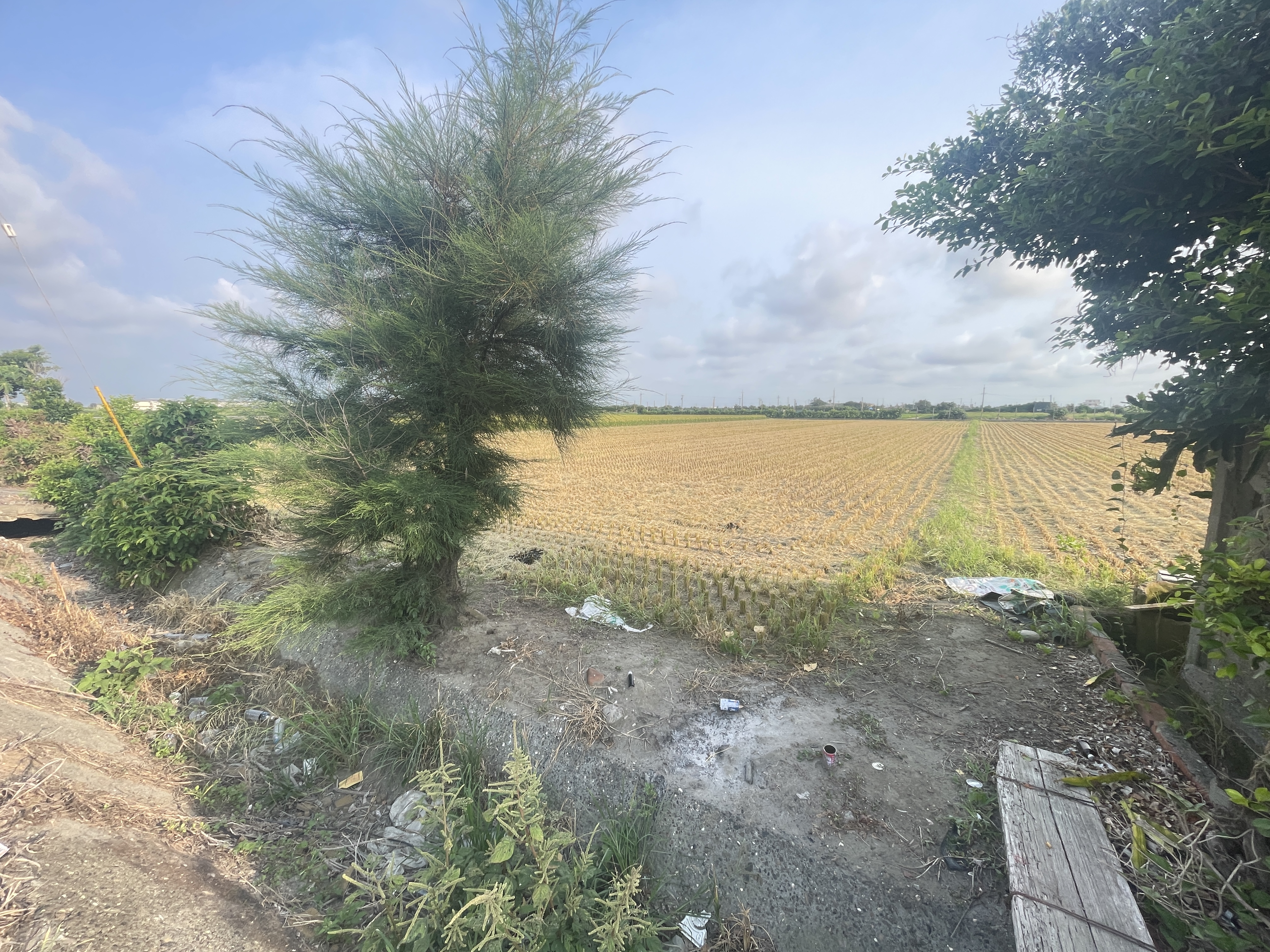 芳苑445坪方正美田｜5米路｜15米大面寬｜總價258萬