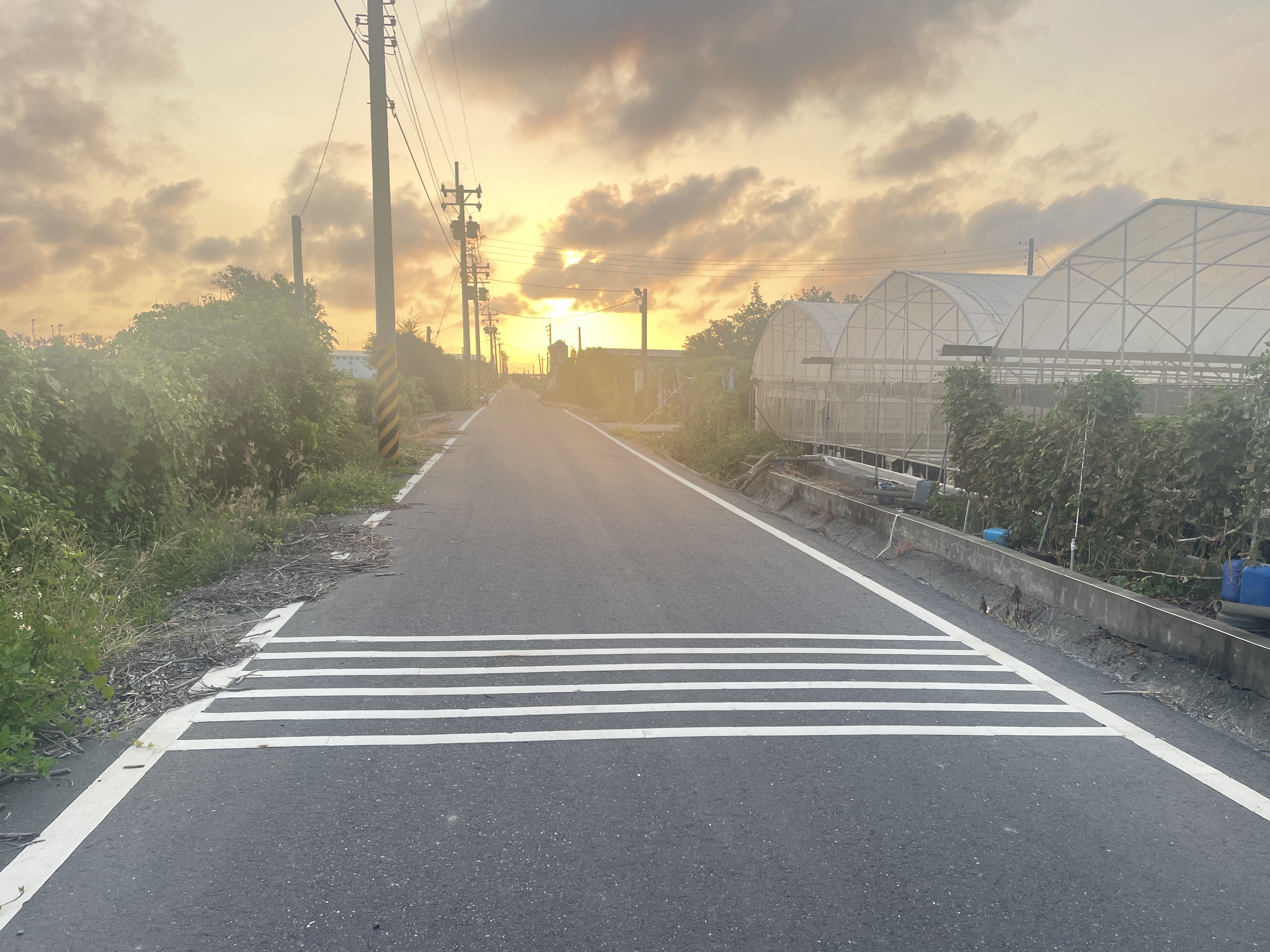 芳苑445坪方正美田｜5米路｜15米大面寬｜總價258萬