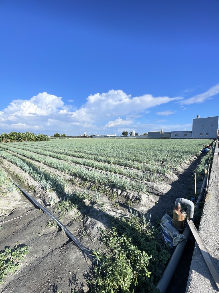 芳苑漢寶一甲當｜大面寬青蔥美田