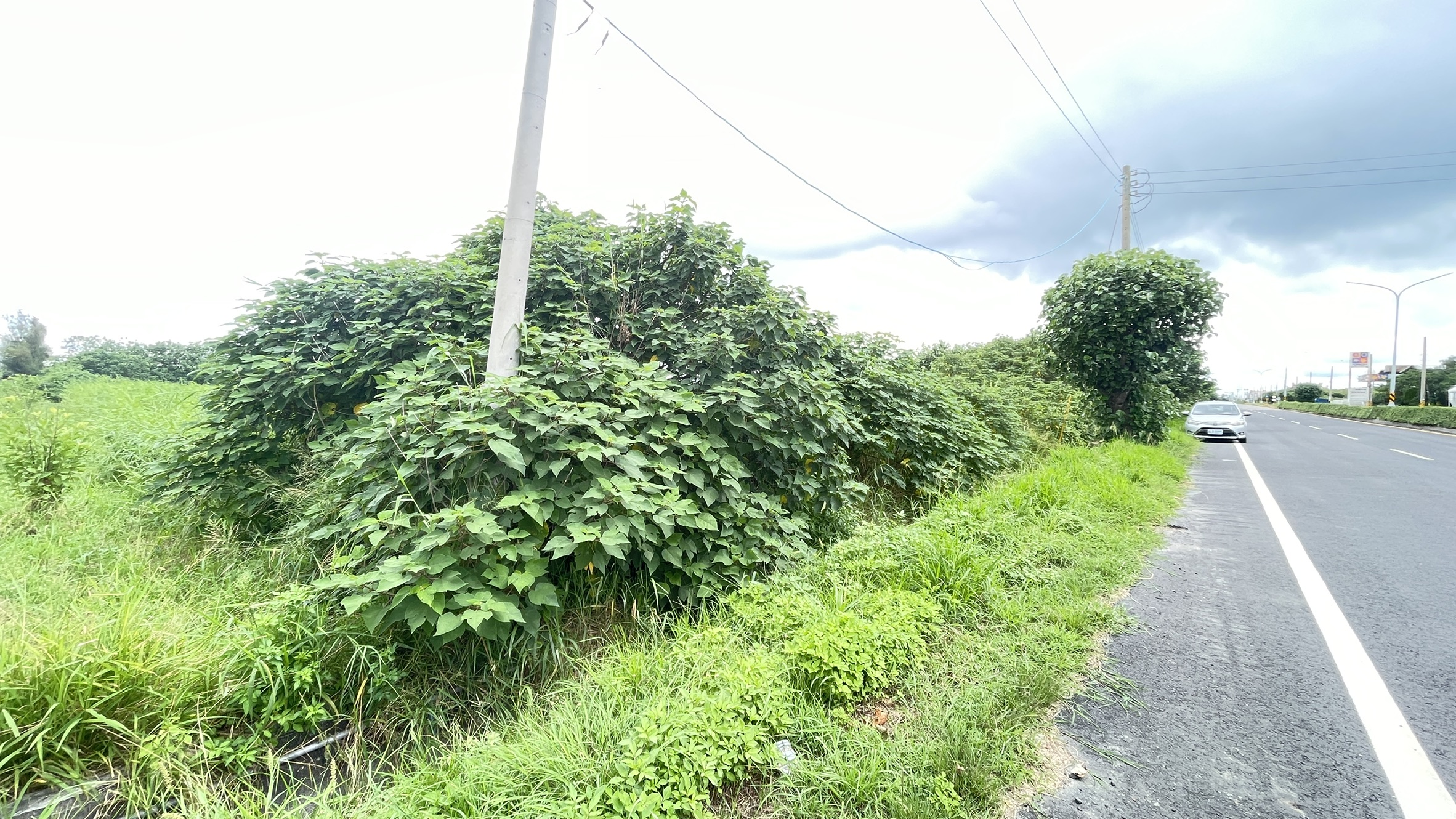 芳苑正臨台17線｜25米大面寬｜685坪完整農地
