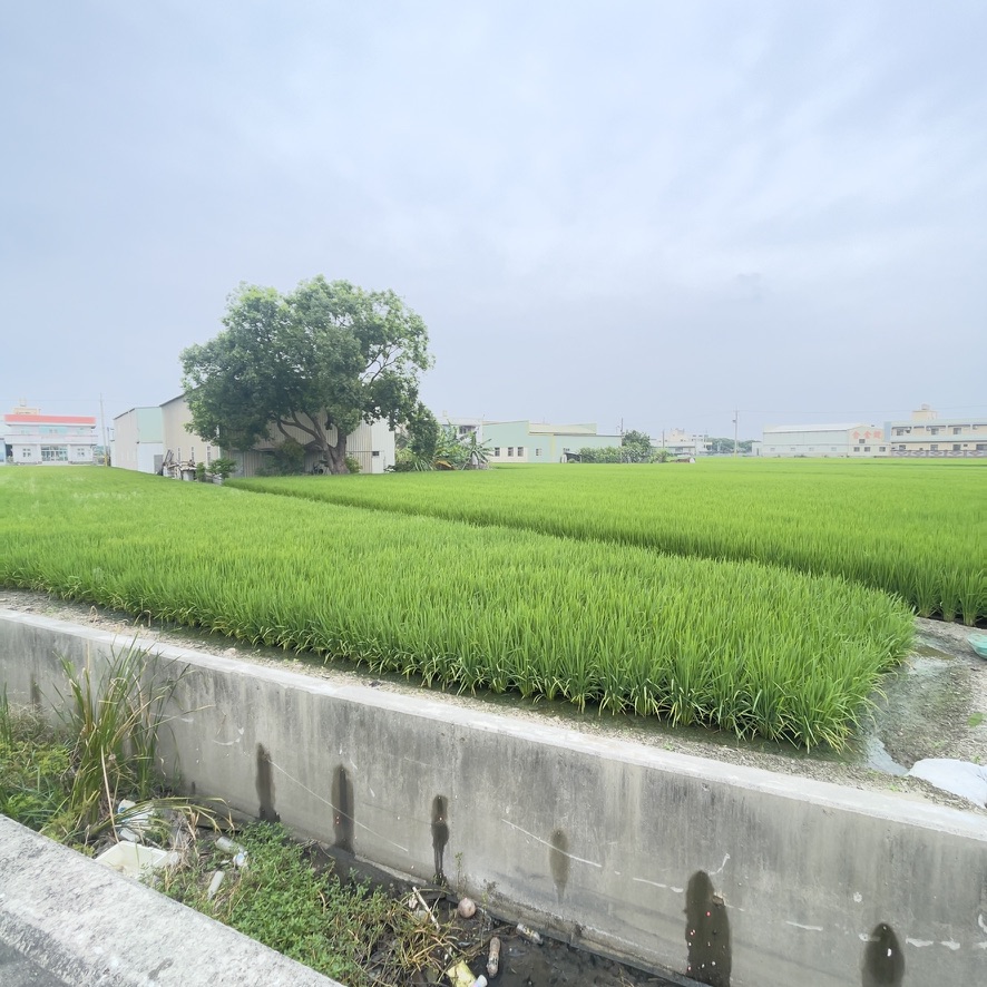 台76埔鹽新水交流道附近｜750坪增值美田