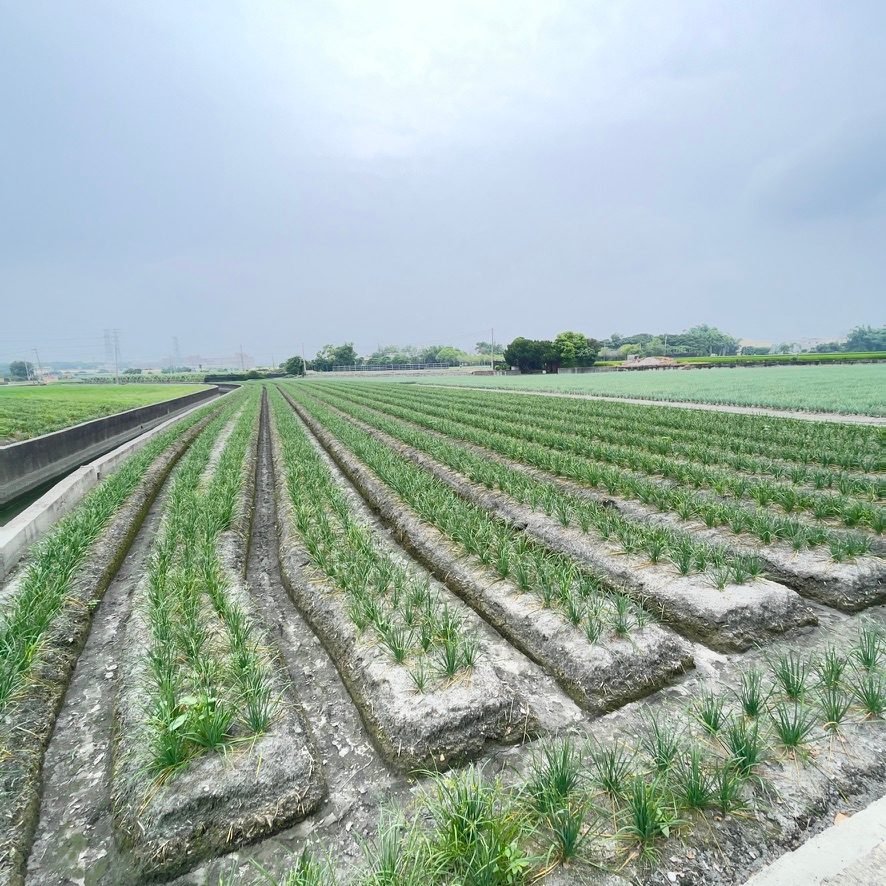 二林鎮詹厝段農田
